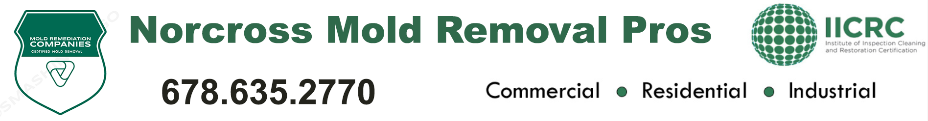 Norcross Mold Removal Pros
